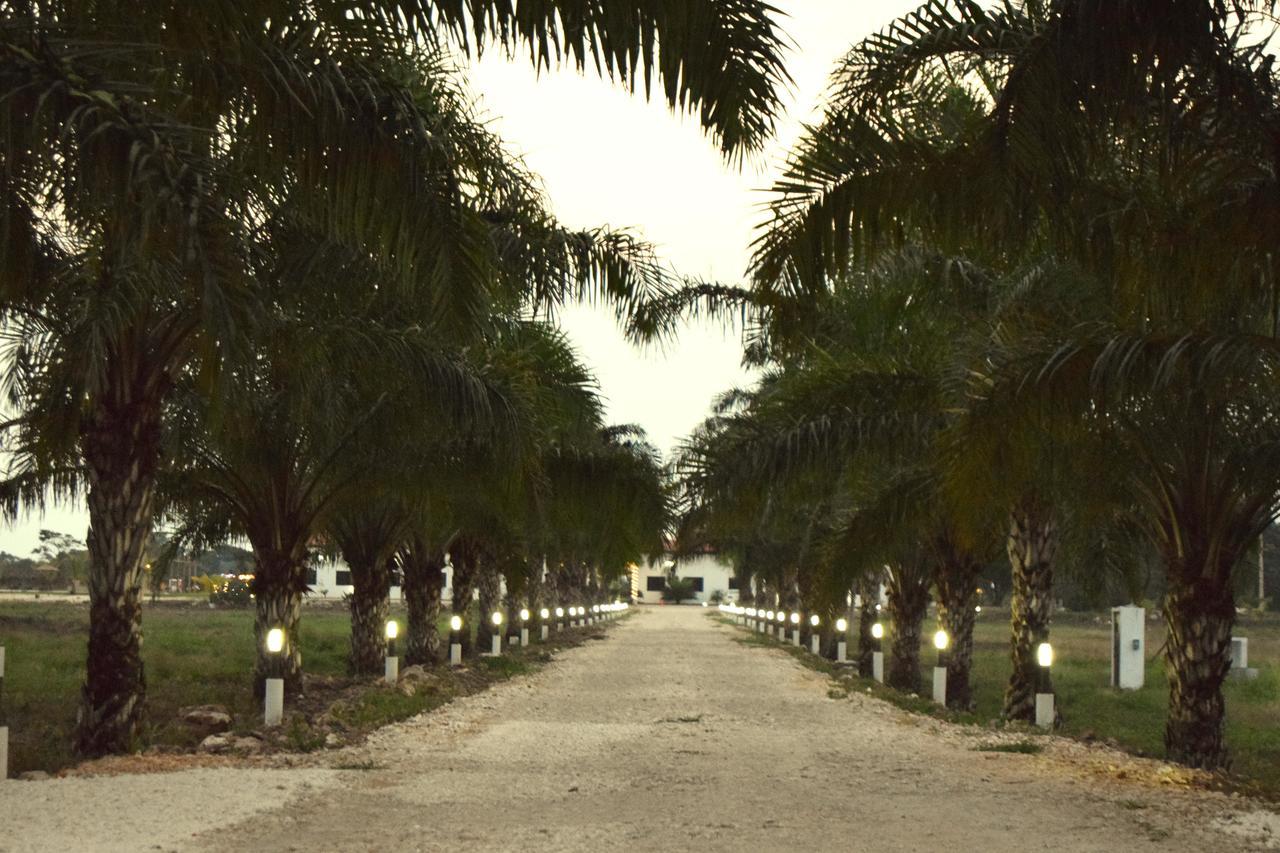 Real Primaveras Campestre Escárcega 外观 照片