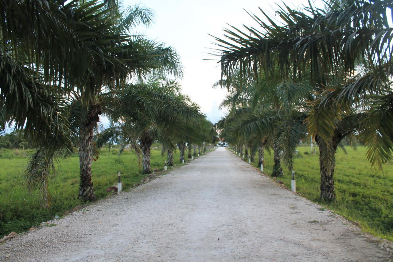 Real Primaveras Campestre Escárcega 外观 照片